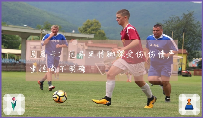 乌度卡：范弗里特脚踝受伤 伤情严重性尚不明确