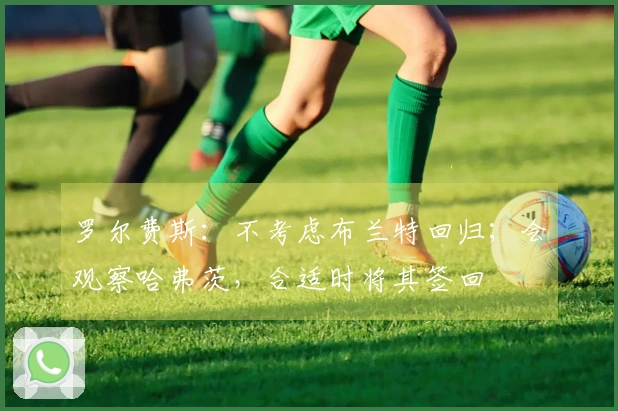 罗尔费斯：不考虑布兰特回归；会观察哈弗茨，合适时将其签回