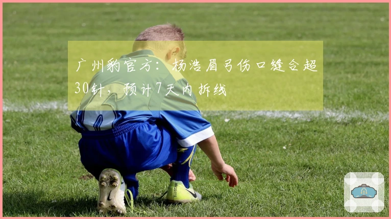 广州豹官方：杨浩眉弓伤口缝合超30针，预计7天内拆线