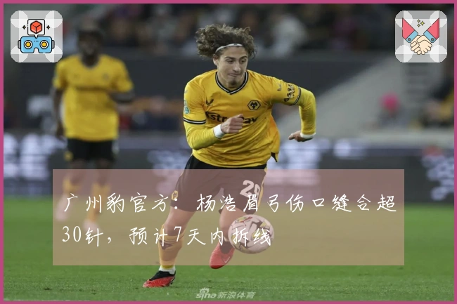 广州豹官方：杨浩眉弓伤口缝合超30针，预计7天内拆线