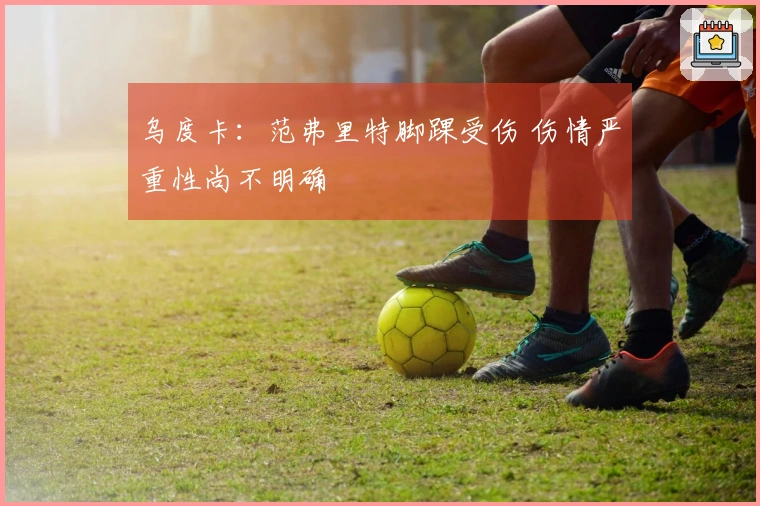 乌度卡：范弗里特脚踝受伤 伤情严重性尚不明确